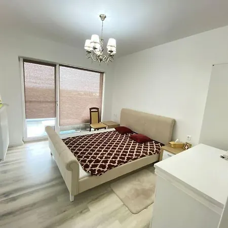 Floreasca Parc View Gem Apartment